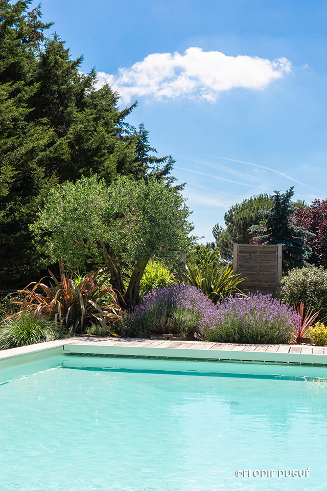 PSB Tradition PSB TRADITION IMG (11) 263