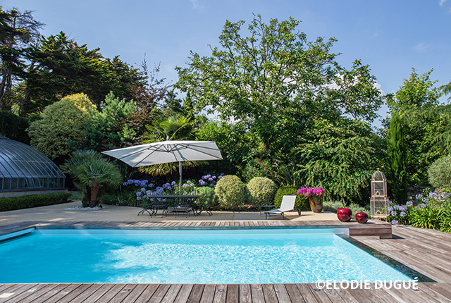 PSB Tradition PSB Tradition (17) 238