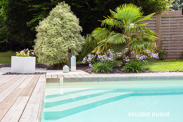 PSB Tradition PSB Tradition (25) 246