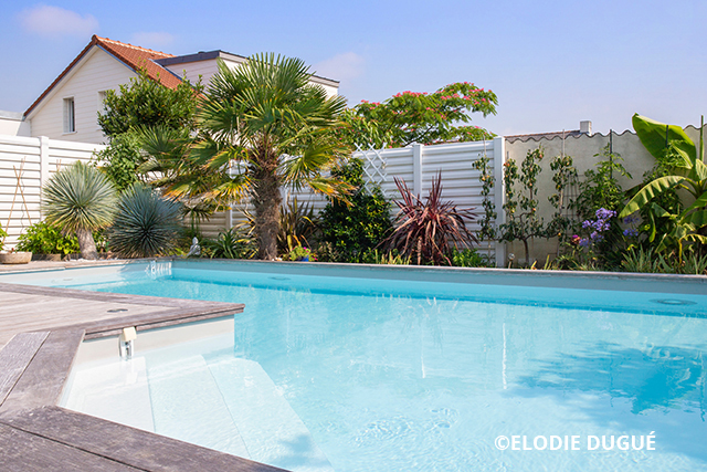 PSB Tradition PSB Tradition (26) 247