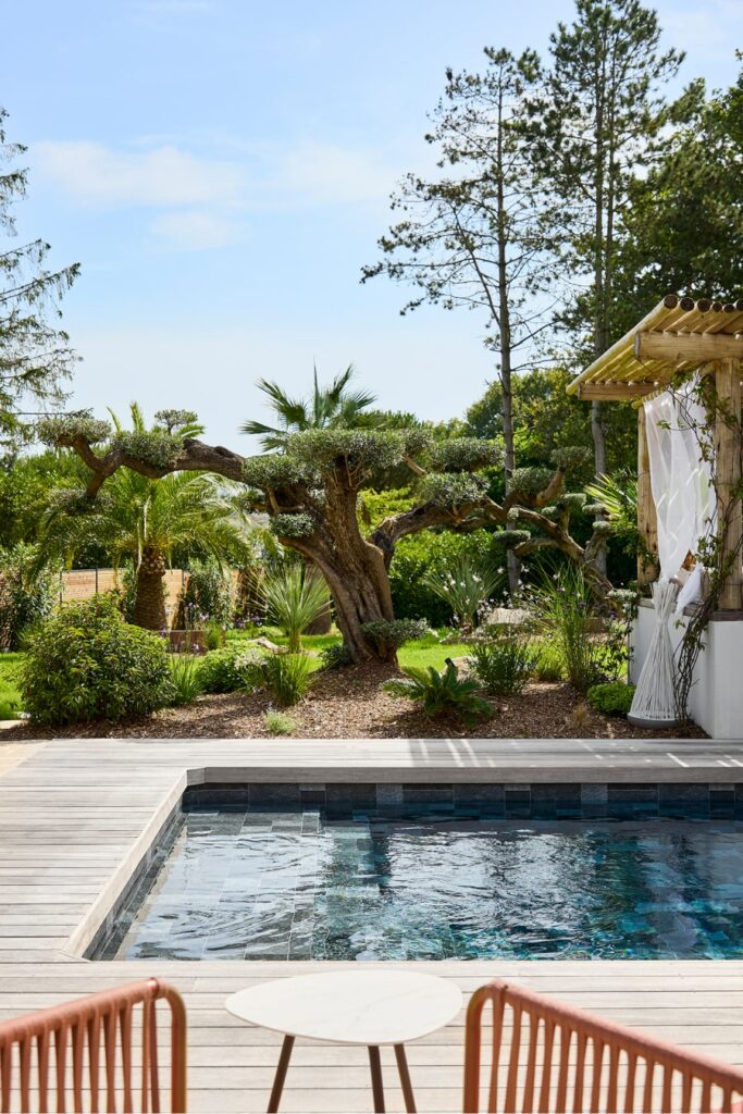 Psb Tradition ED PSB Tradition DRAGUÉ 12 BD Min 1255